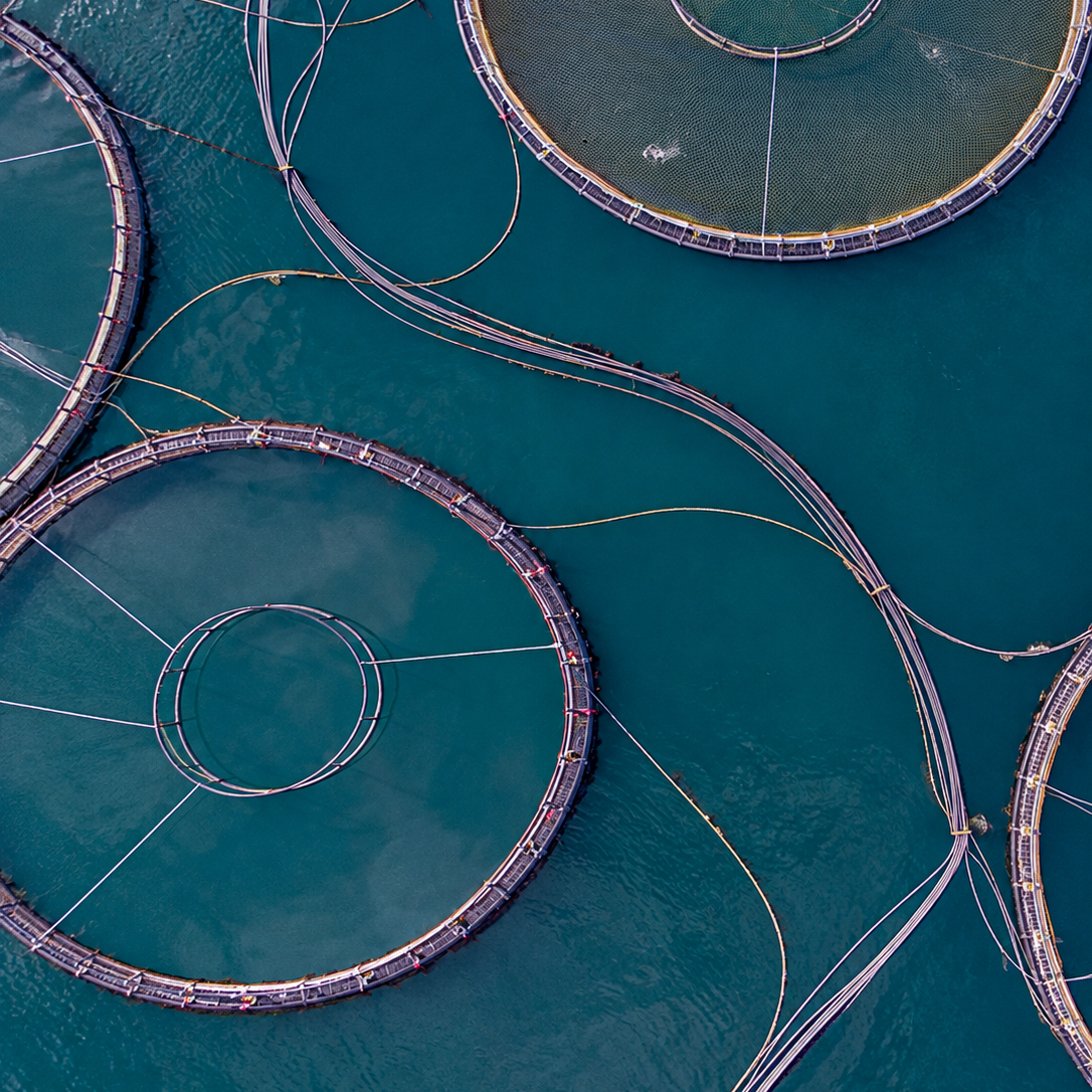 CONAMA publica nova Resolução sobre o licenciamento ambiental da aquicultura